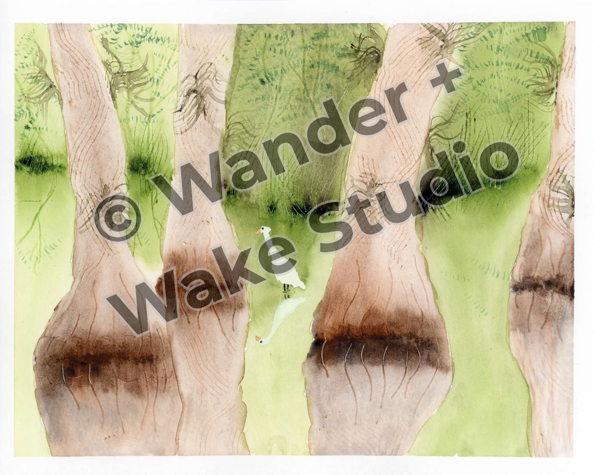 Everglades Study Collection – Gemstone Set + Print
