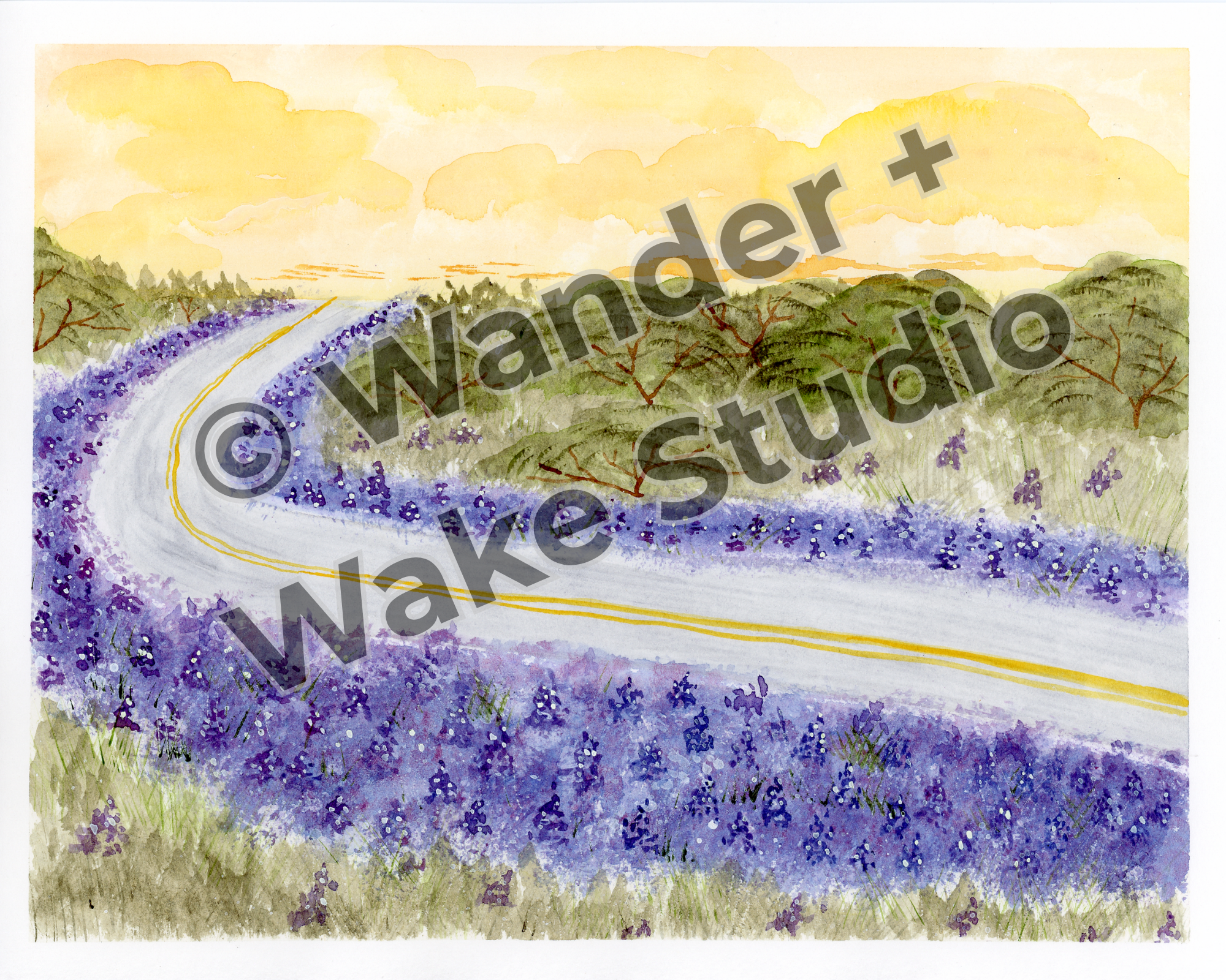 Highway Beautification Study Collection – Gemstone Set + Print
