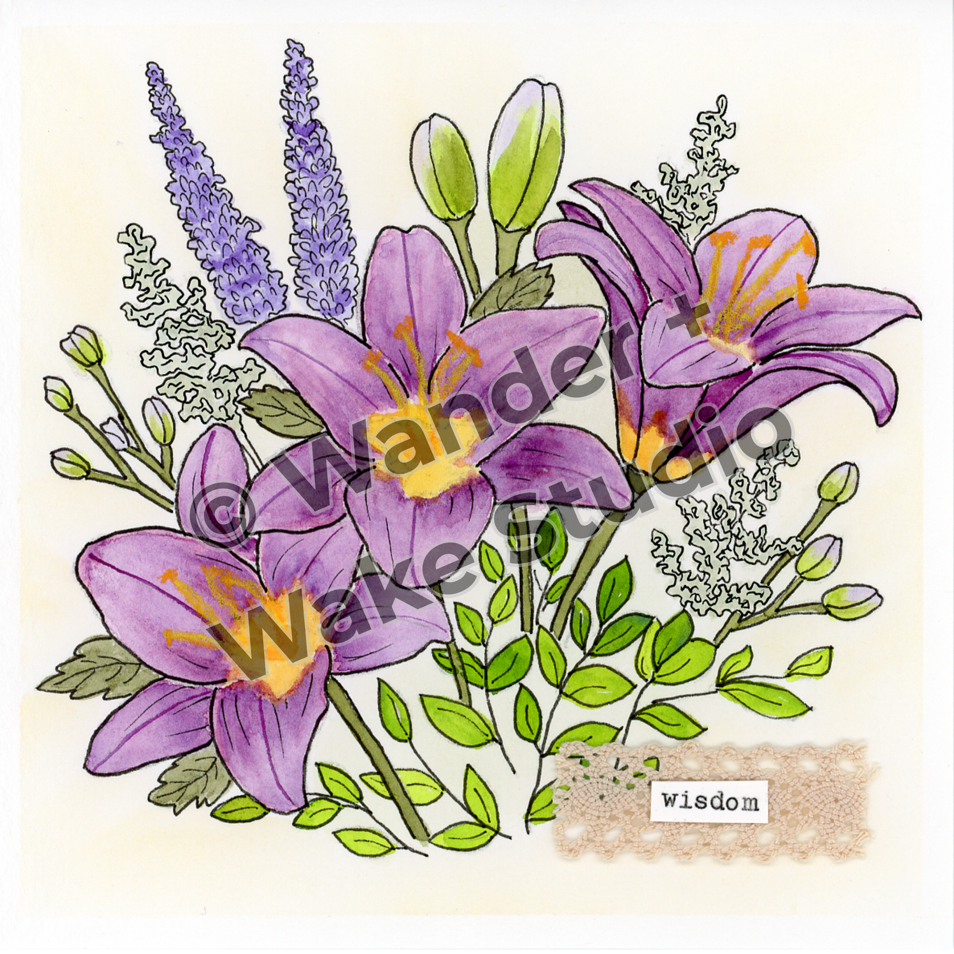 asiatic lily drawing Asiatic Lily Floral Art Print – Wisdom